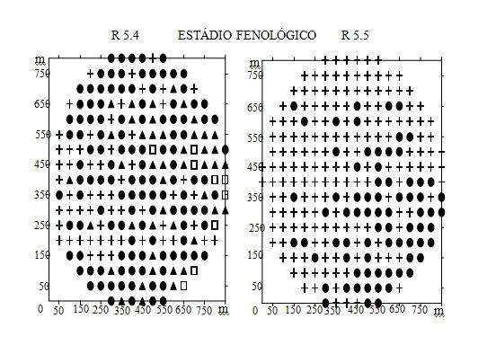 Representação de densidades de lagartas de Plusiinae/m em pontos de