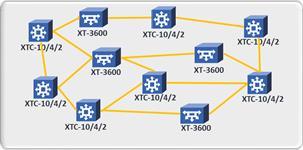 Para aplicações de longa distância, o XT-3600 pode ser usado com sistemas de linhas fixas e de linhas flexíveis, incluindo FlexILS da Infinera.