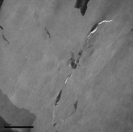 Resultados 64 Figura 39: Micrografias obtidas por Microscopia Eletronica de Transmissão da Argila Cloisite 30B, nas