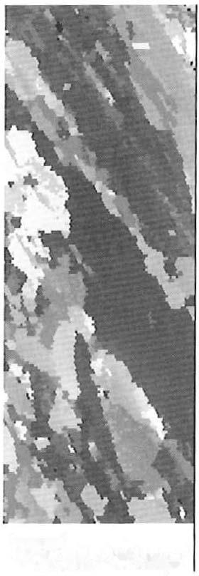 A Figura 6 apresenta uma micrografia de uma banda de cisalhamento onde novos grãos foram nucleados durante a recristalização parcial.