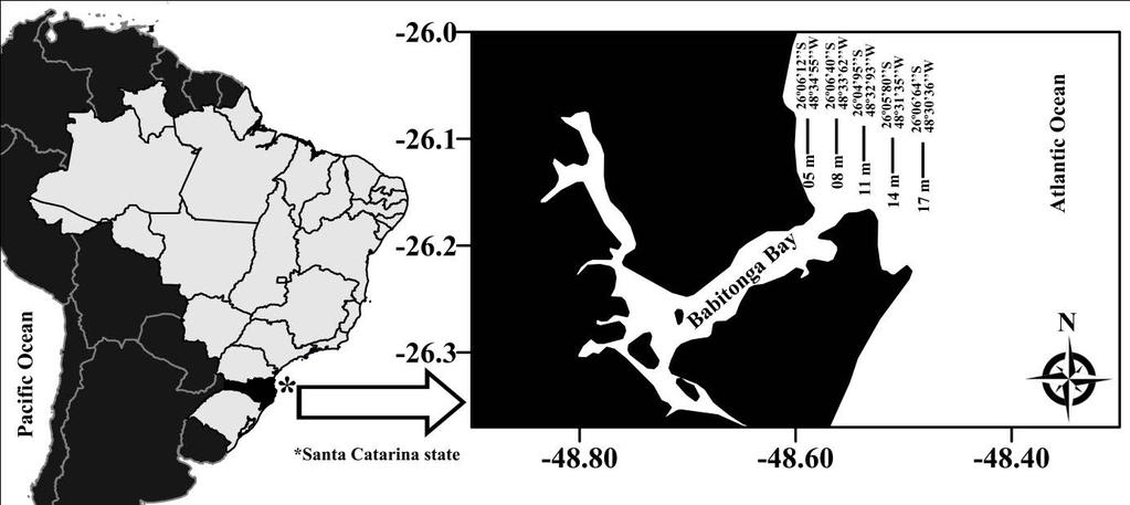 Primeiro capítulo 17 m) na região adjacente a Baía da Babitonga (Fig. 1).