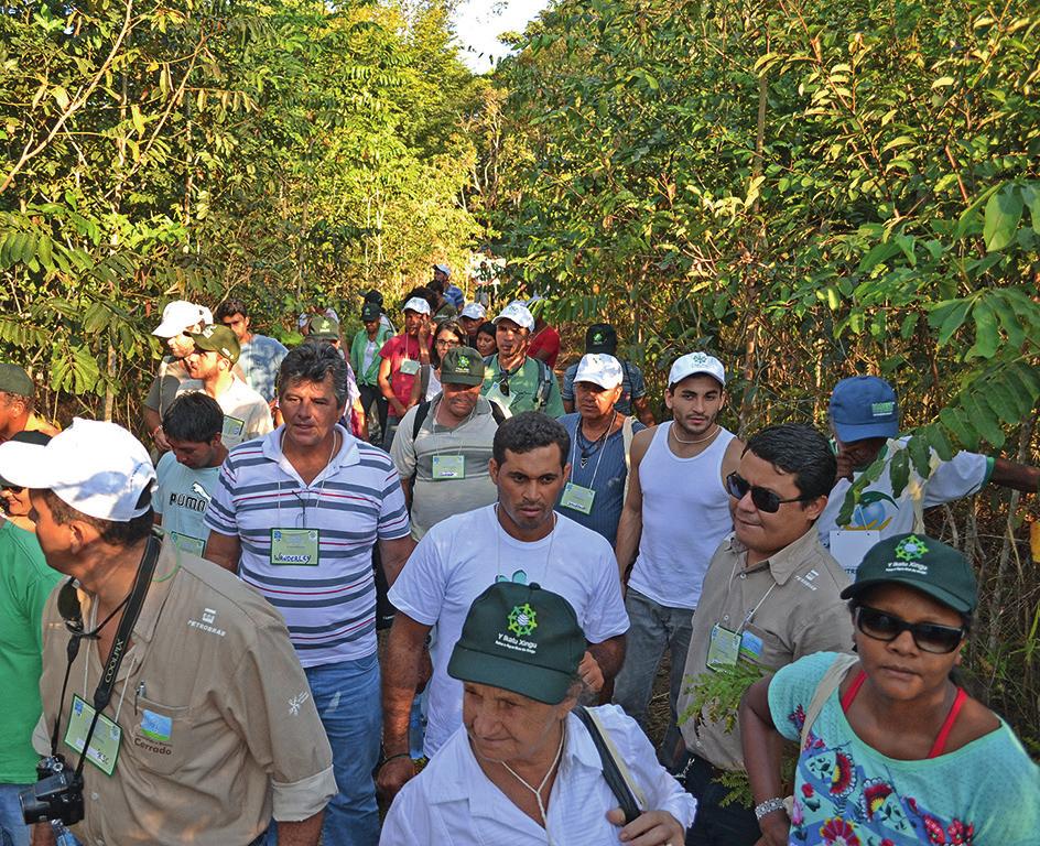 No auditório da Universidade compartilharam experiências e informações com representantes das redes de sementes de Apuí (AM), da Rede de Sementes da Amazônia, da Rede de Sementes do Cerrado, da Rede