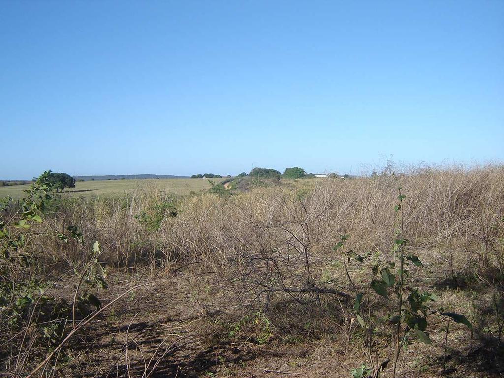 Fgura 15 Classe CHA no muncípo de Iguatu-CE 4 - Classe antropzada: abrange as áreas onde não há cobertura vegetal.