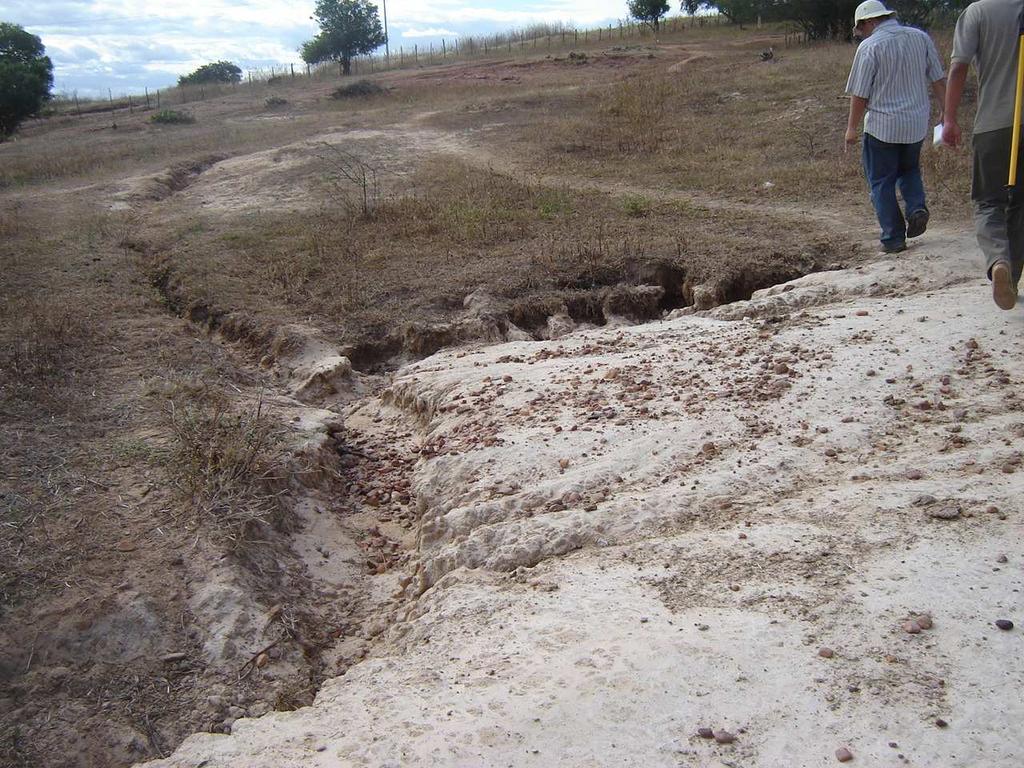 48 Fgura 16 Exemplo de área antropzada 5- Classe agrcultura: engloba áreas utlzadas na atvdade agrícola, sendo caracterzada na