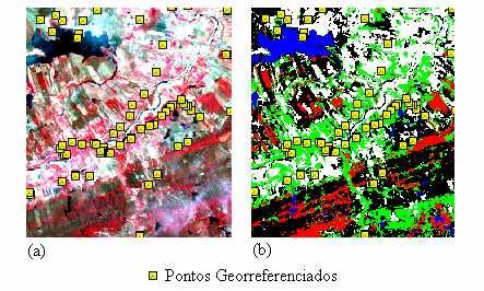 56 Fgura 22 (a) Pontos georreferencados na magem orgnal; (b) Pontos georreferencados na magem classfcada pelo método da