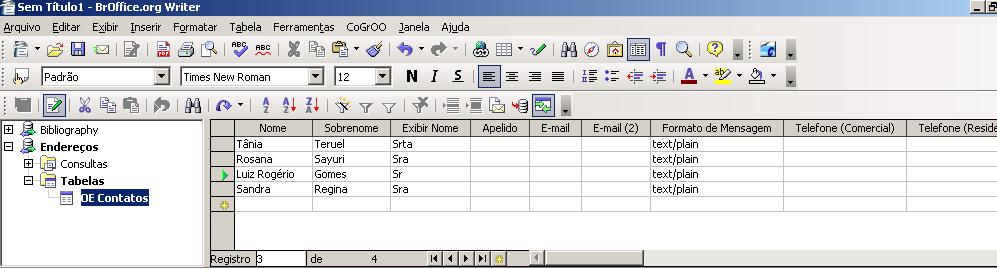 Procedimentos para utilização do BrOffice.org - 23 A tabela OE Contatos será criada para edição. Nos campos da tabela preencha as informações necessárias.