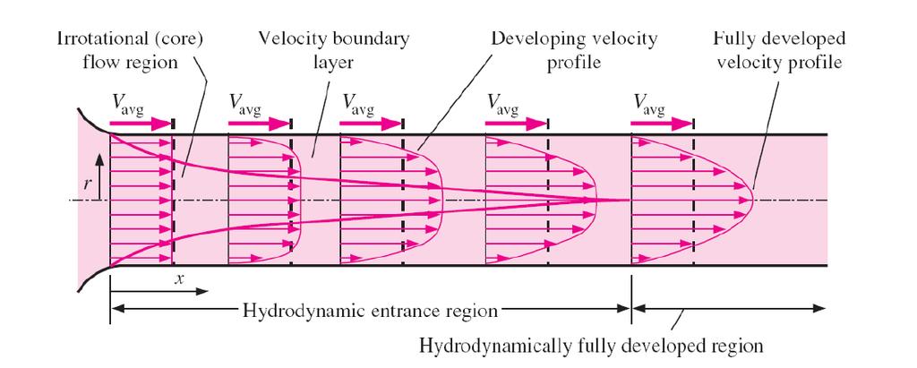 Escoaento Interno: considerações fluidodinâicas Lainar Turbulento - Região de entrada - Região plenaente desenvolvida Região se efeitos viscosos