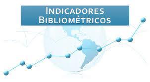 INDICADORES BIBLIOMÉTRICOS Selecionam informação