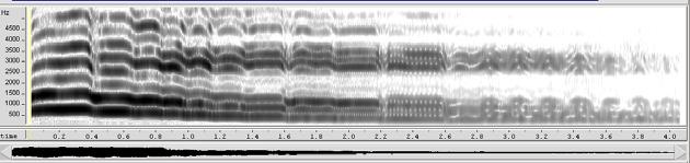 de toda a emissão. A espectrografia de banda larga disposta na figura 40 mostra de forma mais clara o formante do cantor presente para os sujeitos CT3 e CT4.