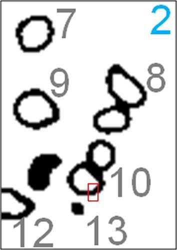 Figura 2.7: Componentes conectadas com seus respectivos identificadores a uma parte da matriz M para a imagem apresentada na Figura 1.2(a). 2.4 Construção do Grafo Um grafo G é um par de conjuntos G = (V, E), onde V representa o conjunto de vértices (ou nós) e E contém as arestas (ou linhas) do grafo [76].