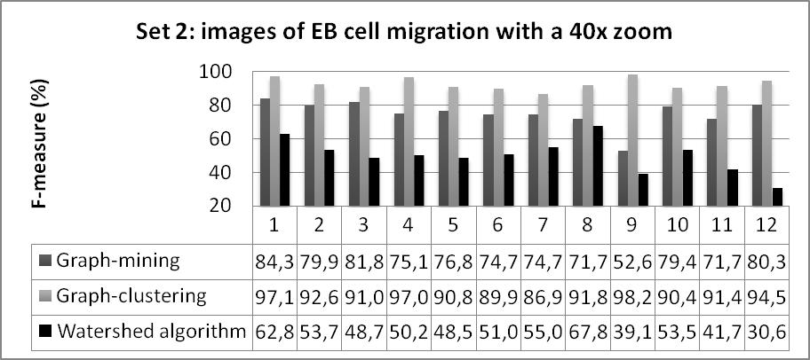 (conjunto 1) (b)images de migração celular de EB com aumento de 40