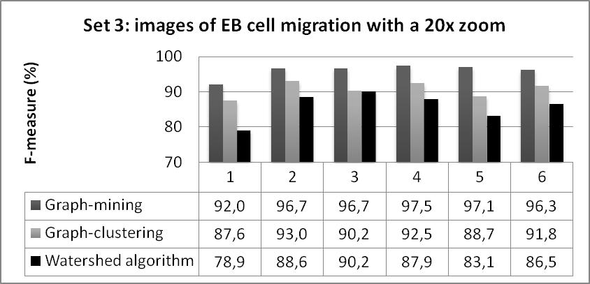 (conjunto 3) (d)imagens de colônias de células mes sobre MEF com aumento