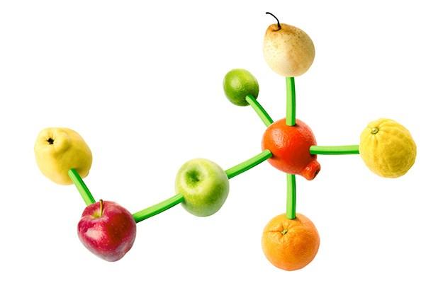 Os compostos encontrados em vegetais têm efeito benéfico na saúde ou um papel ativo na melhora do estado de indivíduos com enfermidades.