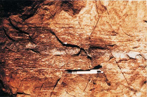 Sequência Vulcano- Sedimentar Palmeirópolis metros 12000 ID ZMS-6 ZMS-7 10000 ZMS-5 Complexo Máfico-Ultramáfico de Cana Brava