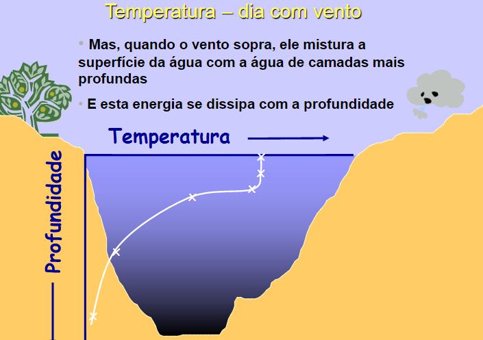 LIMNOLOGIA