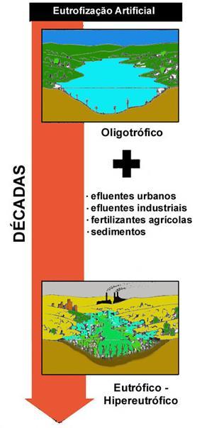 LIMNOLOGIA Atualmente, as alterações no uso do solo na bacia hidrográfica têm aumentado os fluxos de sedimentos e de nutrientes: Remoção da vegetação nativa Agronegócios Urbanização Lançamento de