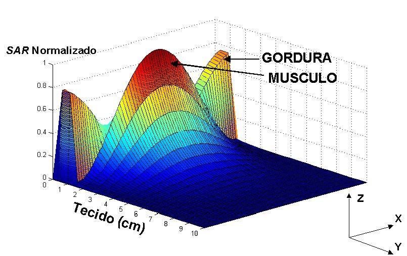 CAPÍTULO 5 - APLICAÇÃO DO TLM A PROBLEMAS EM BIOELETROMAGNETISMO 17 (a) (b) Fgura 5.6 Padrão da SAR normalada para o modelo da fgura 5.4a.