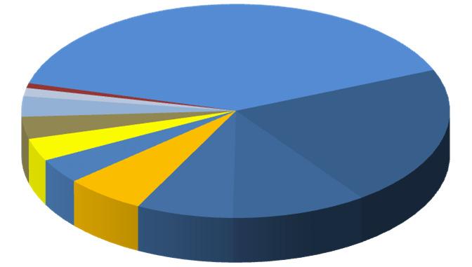 OS 10 PRINCIPAIS GRANÉIS LÍQUIDOS JANEIRO a DEZEMBRO de 2015 DESCARGA TONELADAS % GRANÉIS LÍQUIDOS 1321886 100,0% Gasóleo 523221 39,6% Fuel-óleo 281397 21,3% Amoníaco 134883 10,2% Gasolina 96304 7,3%