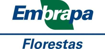 florestas naturais tropicais