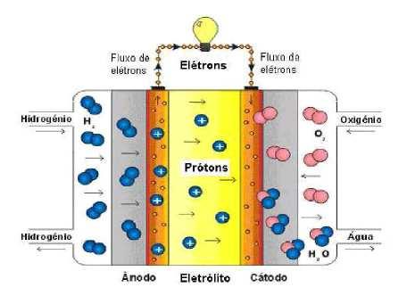 28 Figura 3 Reações em uma PEMFC abastecida com hidrogênio e oxigênio. Fonte: TIMPANARO et al. [12].