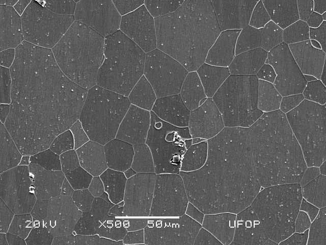 Figura 5.1(b) Microestrutura do aço inoxidável ferrítico, AISI 439, atacado com villela.