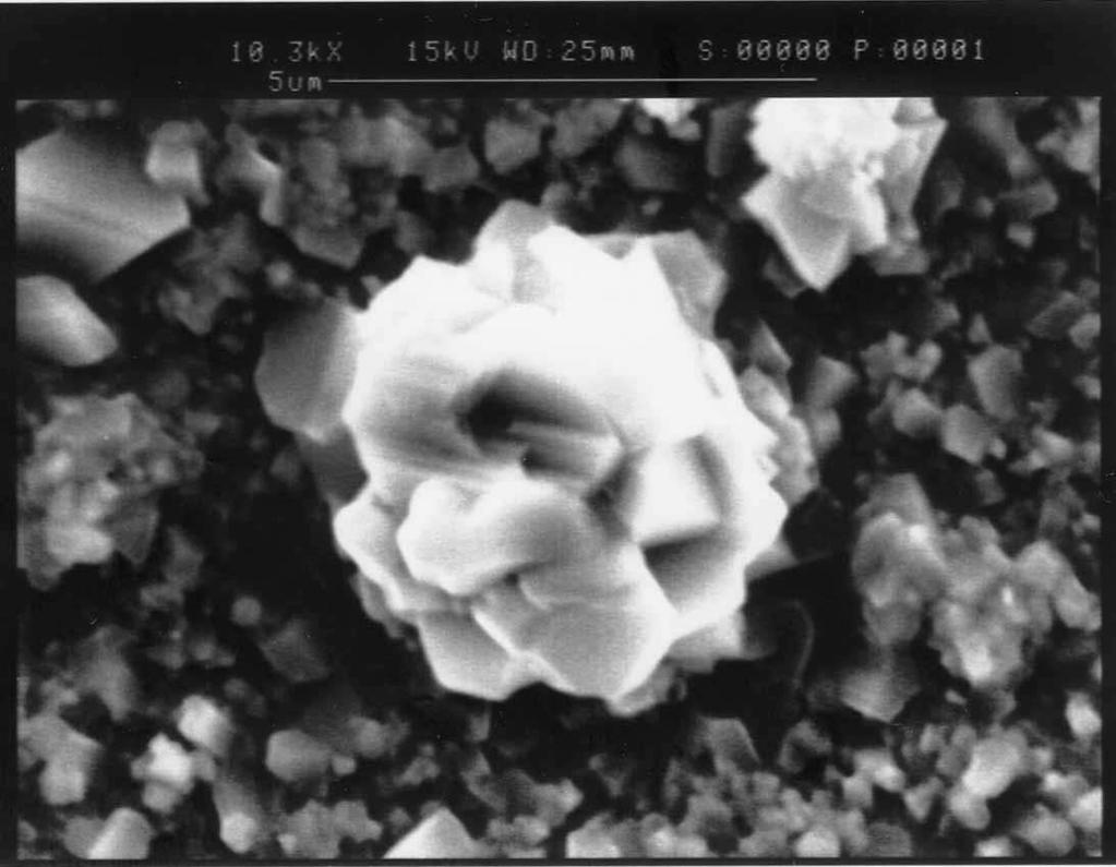 ar). 37 Óxido misto de titânio ( sand rose )