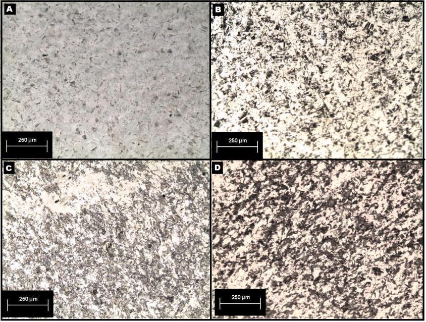 78 50 50 Figura 4.2 Evolução das microestruturas do aço inoxidável austenítico 304 com diferentes deformações equivalentes para o caminho de deformação = 1. (A) 0,13 (B) 0,28 (C) 0,36 (D) 0,37.