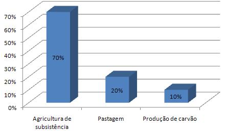 249 Figura 02 Problemas ambientais observados na região De acordo com Barros e Silva (2010), a agricultura convencional provoca diversos desequilíbrios na natureza, tendo em vista que esta