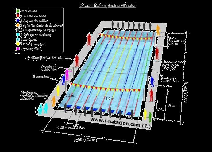 Piscina Olímpica Vamos agora apresentar as dimensões oficiais de uma piscina olímpica. Figura :Fonte: https://br.pinterest.