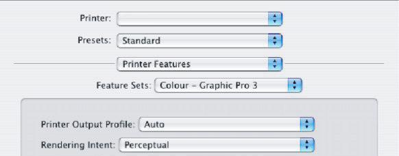 11. No menu [Conjuntos de recursos], selecione [Cor Graphic Pro 3] (10). 10 11 12. No menu [Perfil de saída da impressora] (11), selecione o perfil da sua impressora.