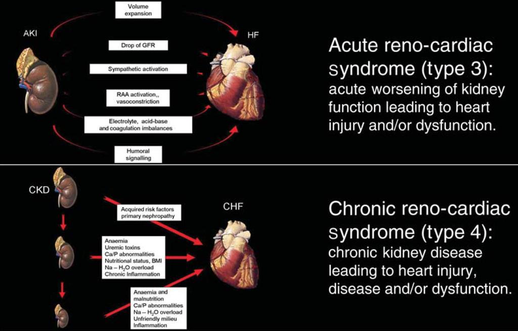 Fisiopatologia Ronco et al;