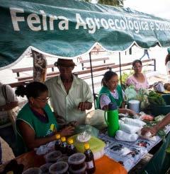 Este material que chega a suas mãos é um convite para conhecer as experiências das Redes de Agricultores/as Agroecológicos/as dos Territórios Vales do Curu e Aracatiaçu e Sertão Central, ambos