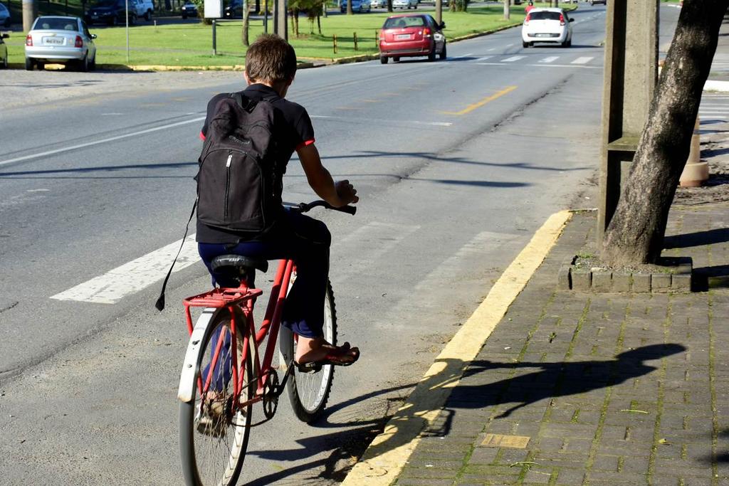 Figura 7: "Ciclovia" em importante