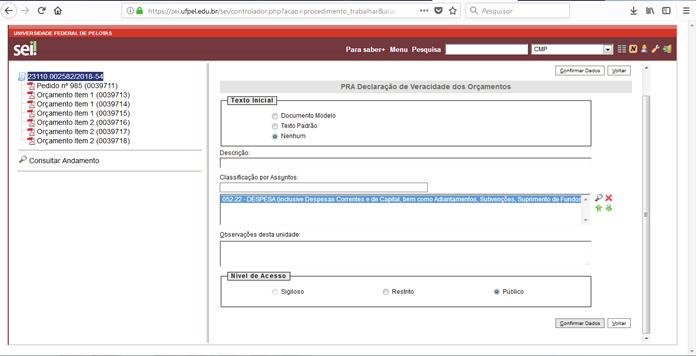 5) Incluir a Declaração de Veracidade dos Orçamentos: 5.1 Incluir Documento Mesma orientação do item 4. 5.2 Escolha o Tipo de Documento PRA Declaração de Veracidade dos Orçamentos : 5.