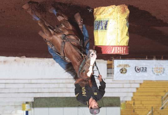 HARAS VIAMON - BAURU - SP LOTE - 8 BANG BANG FAME(Embrião) P152679 - QUARTO DE MILHA PO - FÊMEA - 12/04/2009 - ALAZÃO FIRST DOWN DASH DASH TA FAME SUDDEN FAME DASH FOR CASH SUDDEN FAME TINYS GAY BAR