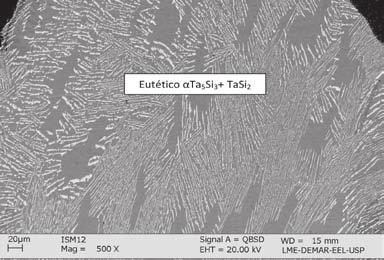 Figura 4: Micrografia da liga Ta60Si obtida via Microscopia Eletrônica de Varredura no modo retroespalhados. Pode-se concluir que os objetivos propostos no trabalho foram atingidos.