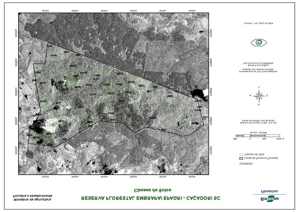 Figura 3 - Mapa de solos sobreposto a imagem Ikonos II (banda