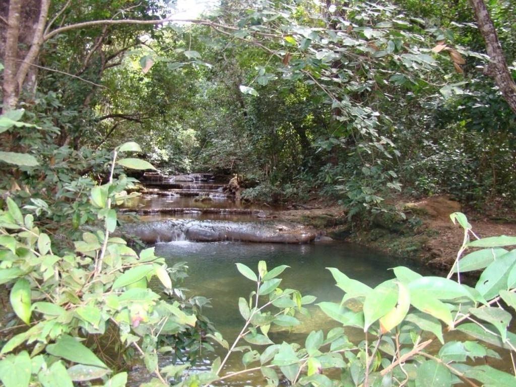 Rio Vieira destacado em vermelho Fonte: Imagem do Google