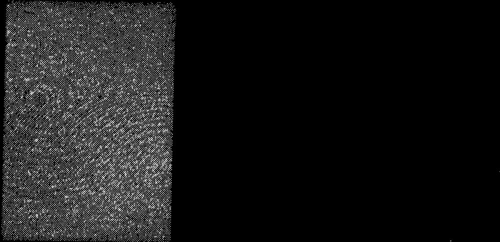 um dos vários algoritmos de FFT descreve a distribuição de amplitude e fase representação da aproximação de Fresnel discreta pelo que pode ser obtida através de segundo uma matriz de 512x512 pontos.