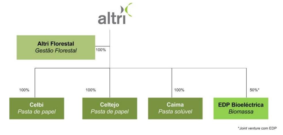 O grupo ALTRI A Altridetém três fábricas de pasta branqueada de eucalipto localizadas em Portugal, com