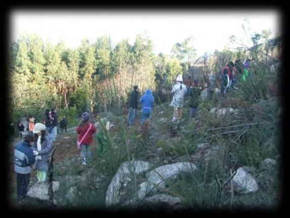 ZIF MONTE DE ROQUES