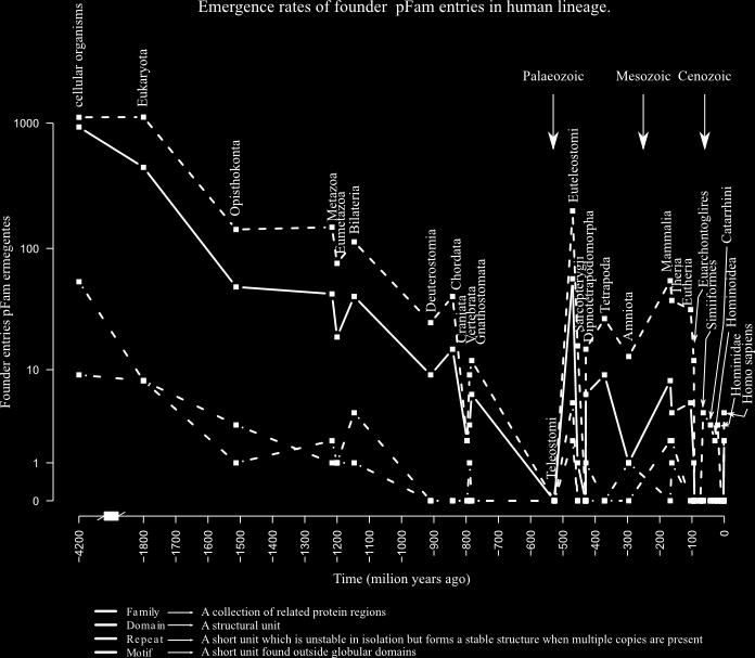 As análises filoestratigraficas das arquiteturas Pfam mostram existir um número ainda maior de arquiteturas recentes, sendo 31% das arquiteturas compartilhadas entre os Euteleostomi.