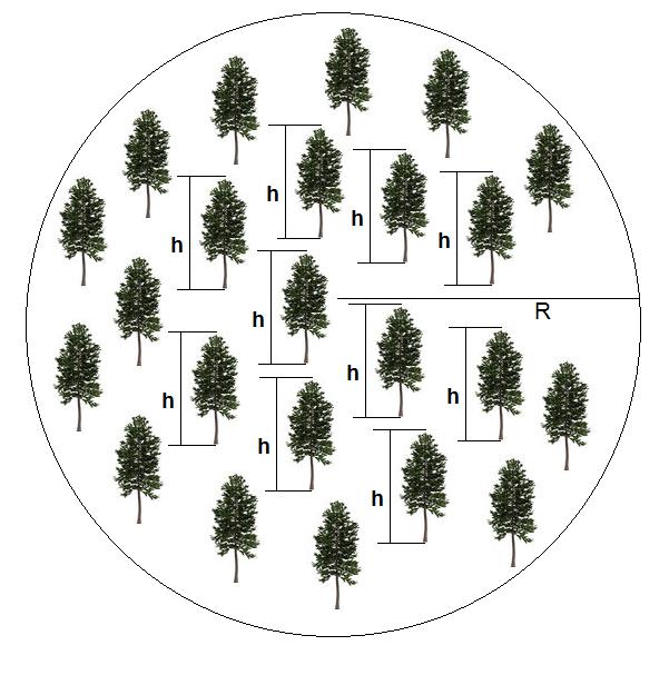 22 As alturas das demais árvores contidas na parcela foram estimadas com equação hipsométrica, ajustadas para os diferentes métodos de amostragem.