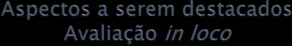 Como foi o processo de construção do plano de autoavaliação no contexto do SINAES? Quais as dimensões avaliadas? Quais os instrumentos utilizados nas diferentes dimensões?