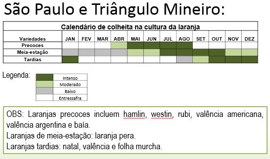 Calendário