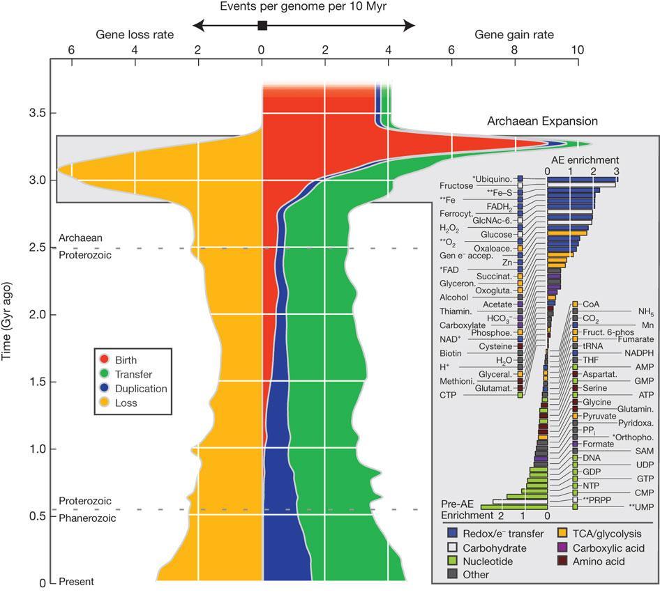 Visualização map the evolutionary history of 3,983 gene families across the three domains of life onto a geological