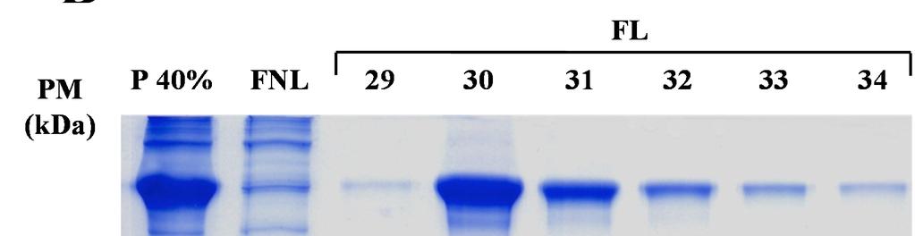 RESULTADOS 46 4.