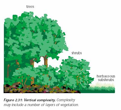 árvores arbustos herbáceas Complexidade vertical.