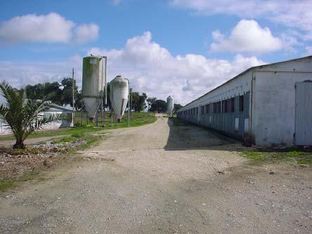 O referido projecto consiste na ampliação de um aviário já existente, pelo que se encontra numa área onde já existem infra-estruturas para a produção de frangos.