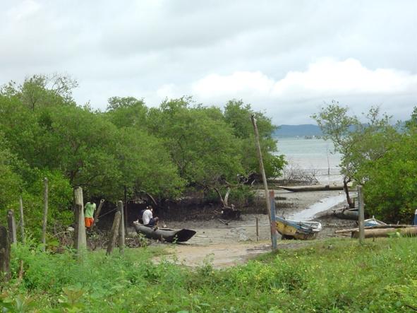 infraestrutura, limítrofe a umah área de interesse ambiental: o mangue.